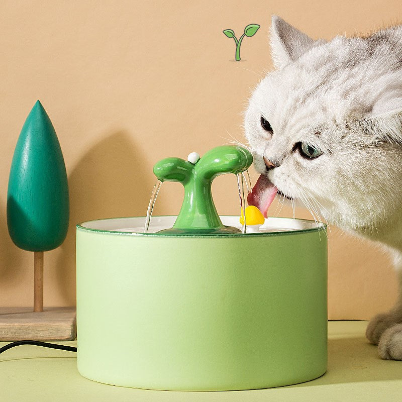 Cat Fountain – SpringFlow