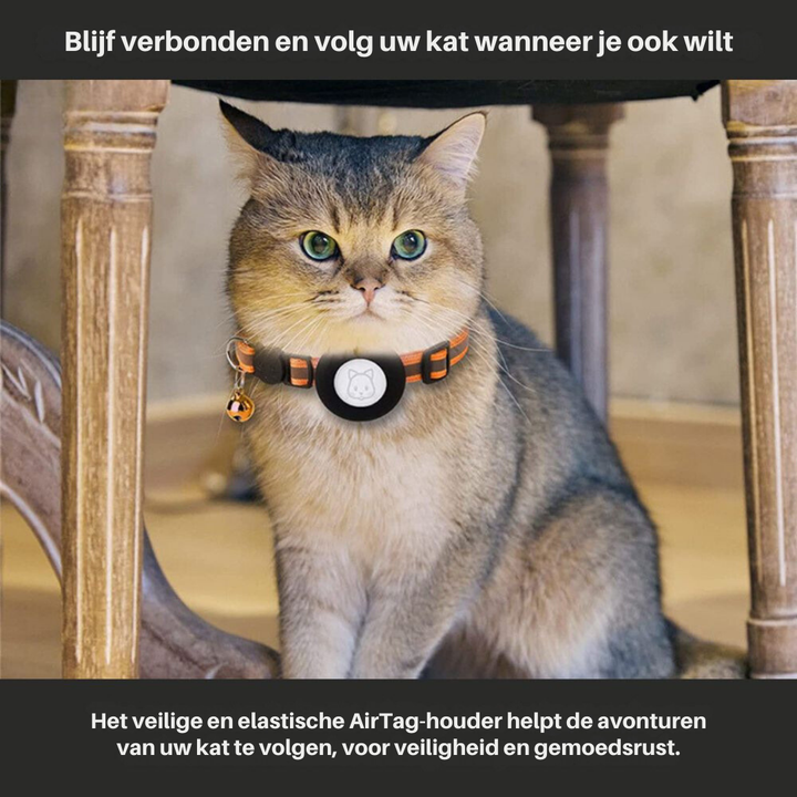 Cat Collar with Safety Buckle - Milo