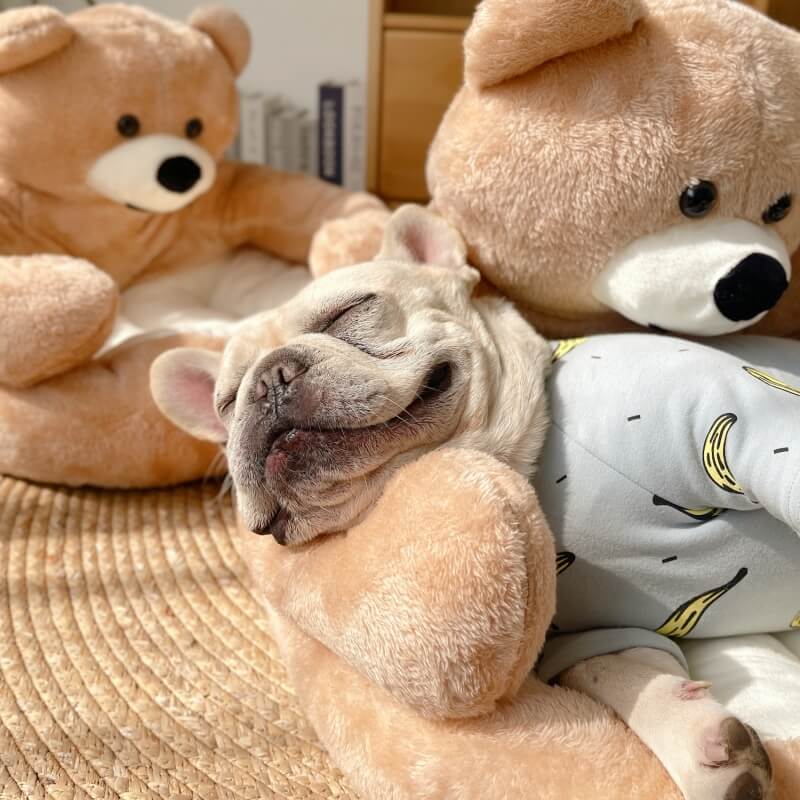 Adjustable Cuddle Bear – SnuggleBear