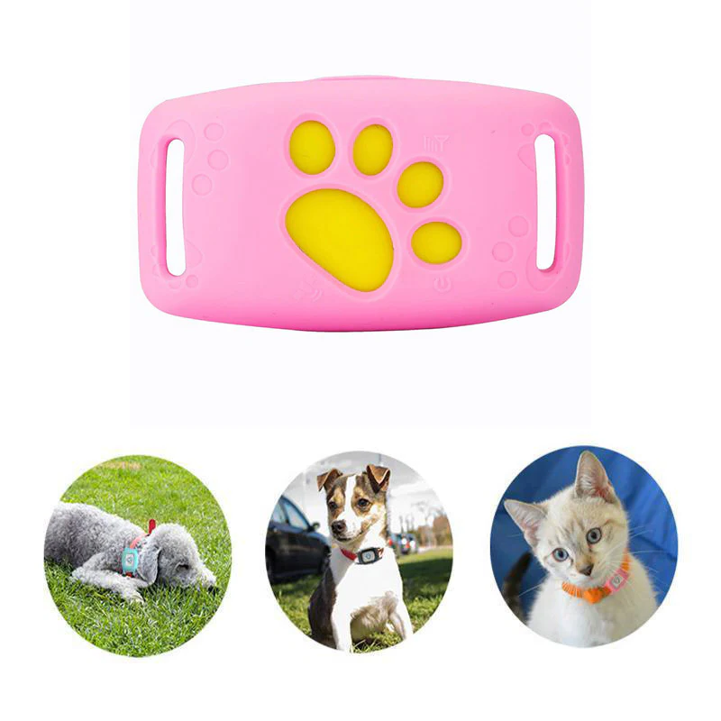 PetSafe GPS Pet Collar - Real-Time Tracking, Waterproof and Subscription-Free