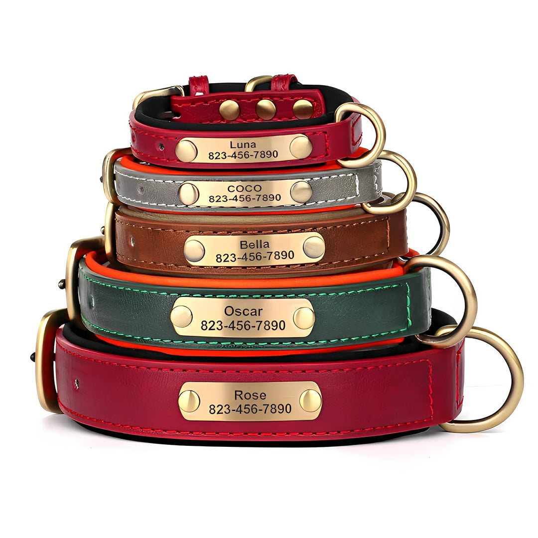 Engraved Leather Dog Collar with Personalised Nameplate