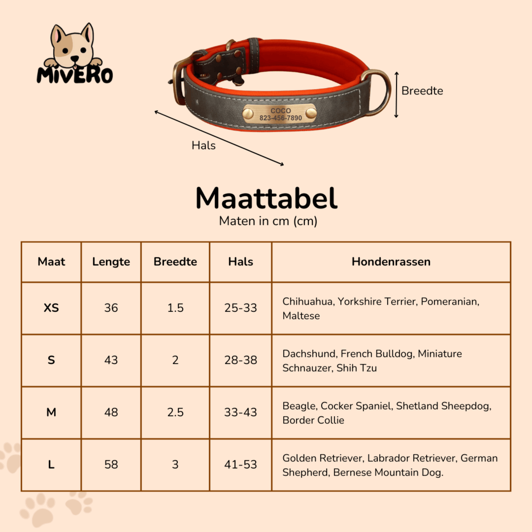 Engraved Leather Dog Collar with Personalised Nameplate