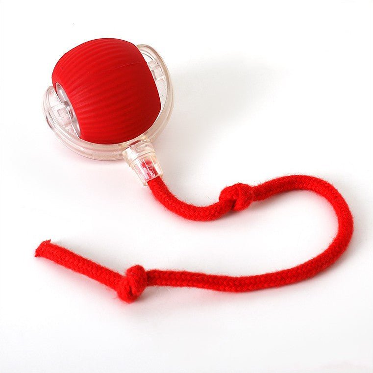 ChaseBall Interactive Chase Toy for Dogs and Cats - LED, USB