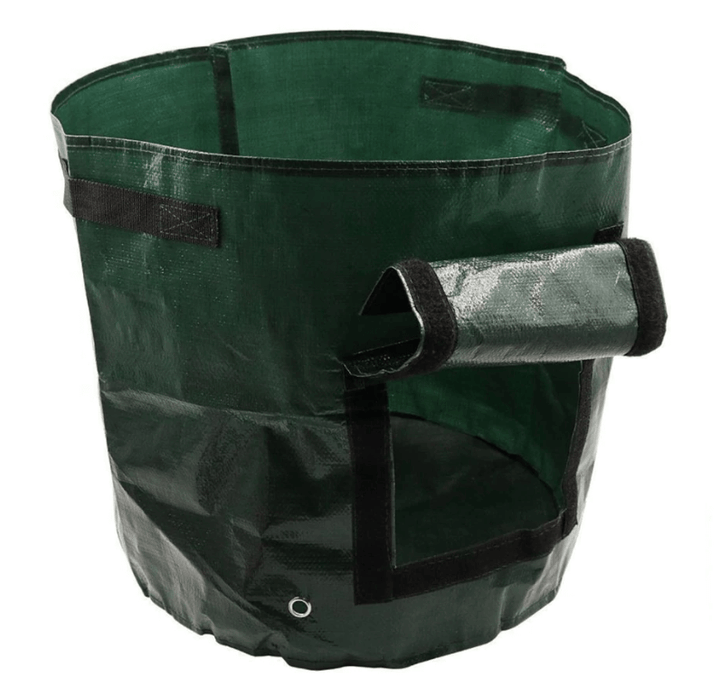 Grow potatoes at home: smart potato grow bag for patio and balcony