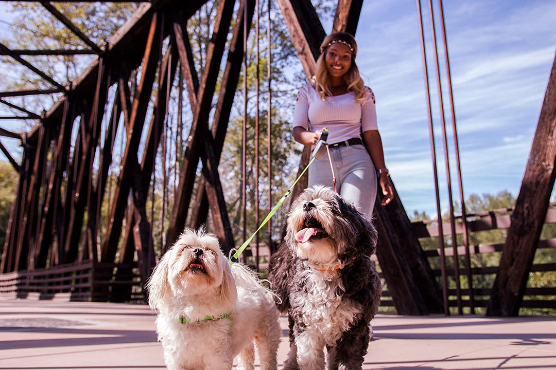 WalkMate | Double Dog Lead – Tangle-Free